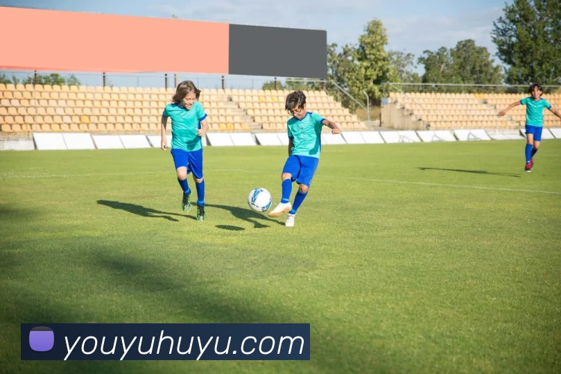 App Interface Preview